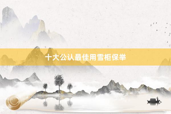 十大公认最佳用雪柜保举